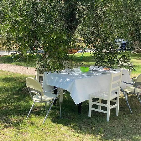 Aria Prive * Χειμάρρα